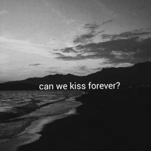  Can We Kiss Forever? Song Poster